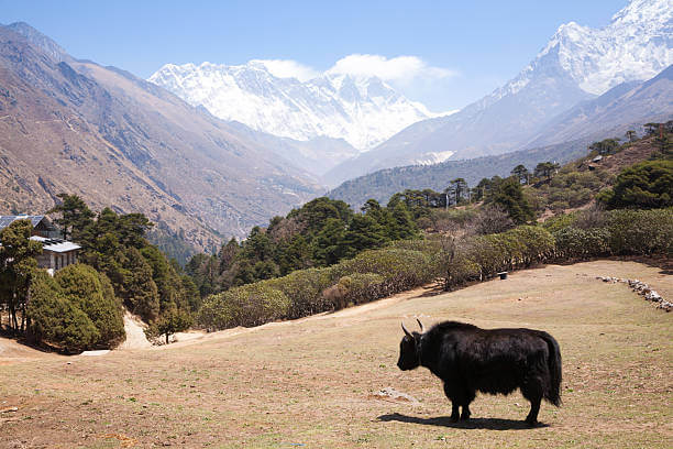 nepal place image