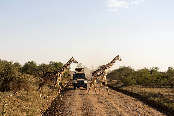 Travel image